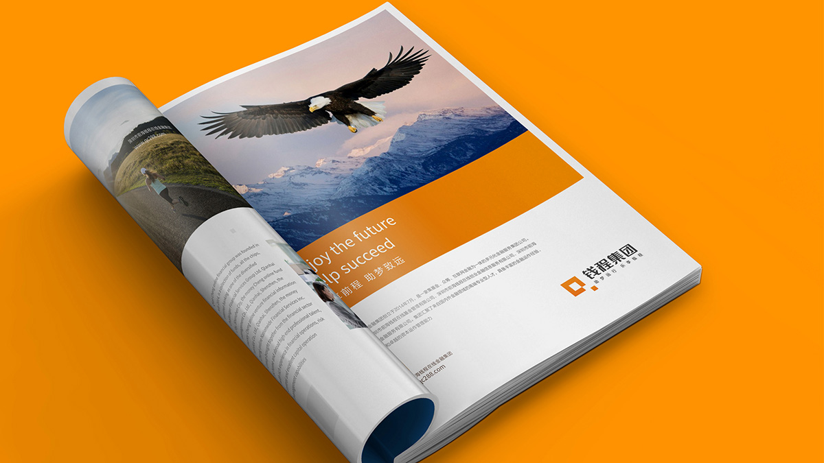 金融标志VI设计