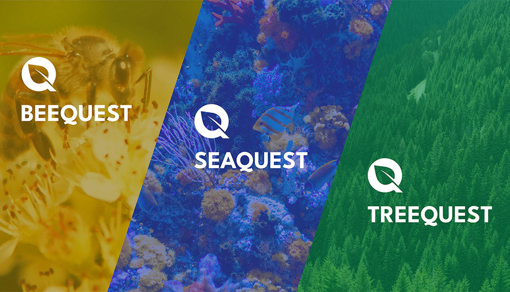 LOGO不同组合展示 LOGO不同组合展示