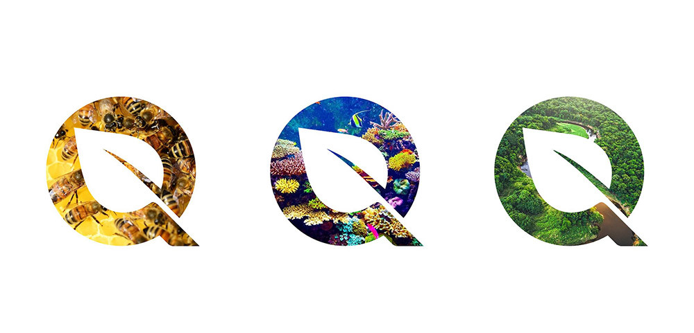 辅助图形运用 辅助图形运用