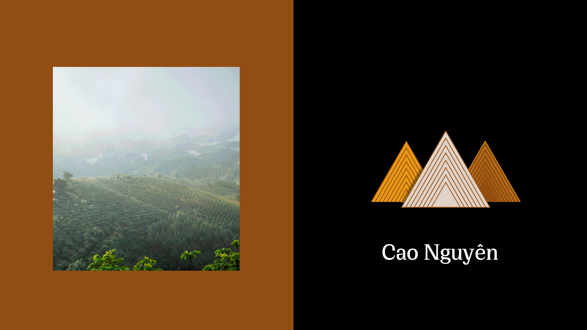 Sunburned Plateau 包装 Sunburned Plateau 包装